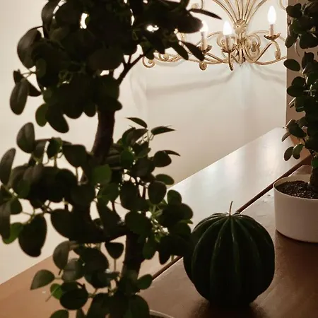 Residenza Tritone Luxury Trevi Fountain Semesterbostad